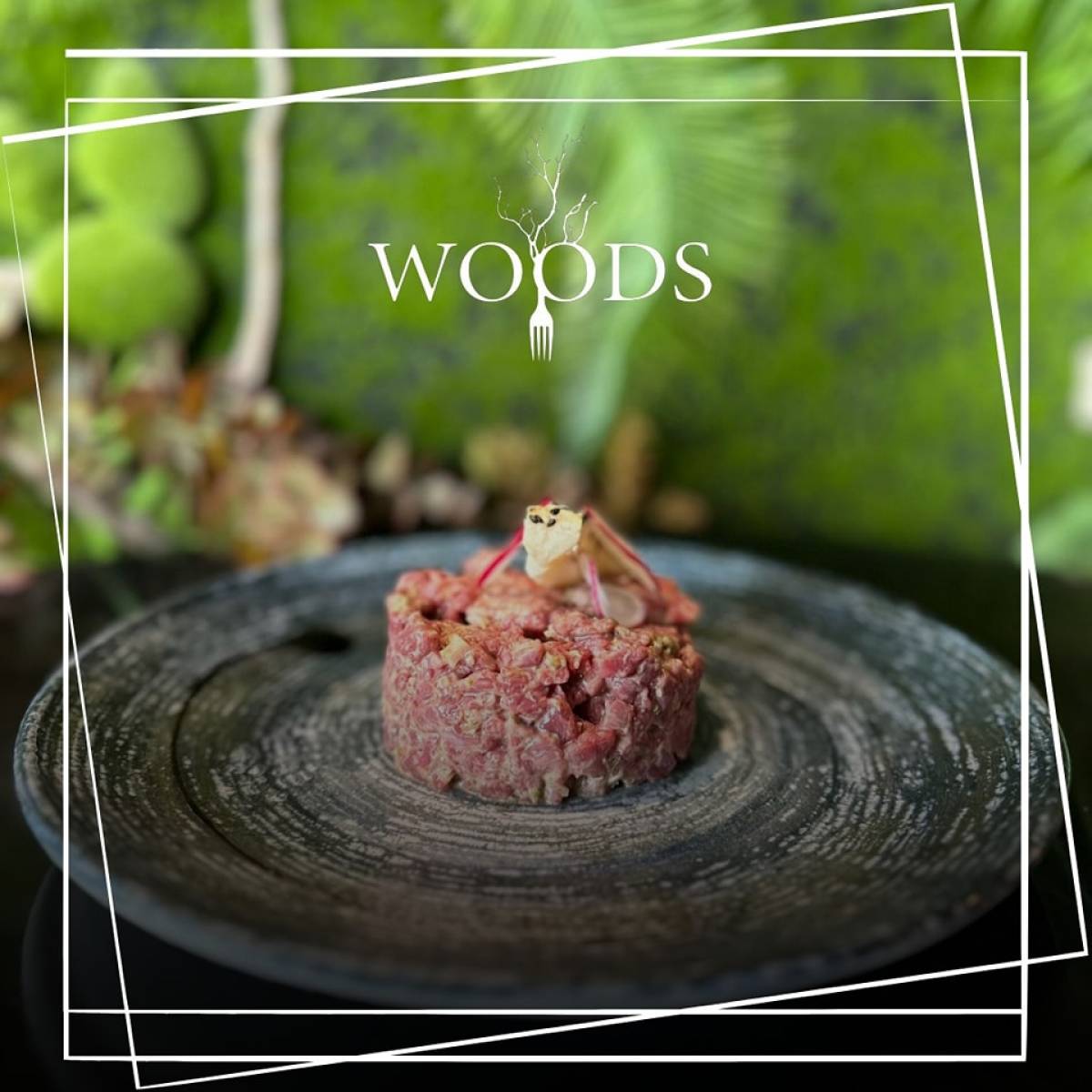 Découvrez le nouveau tartare de bœuf façon thaï chez Woods à Bourgoin-Jallieu